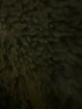 anonimgirl18old online show from February 2026 06:31:01 PM