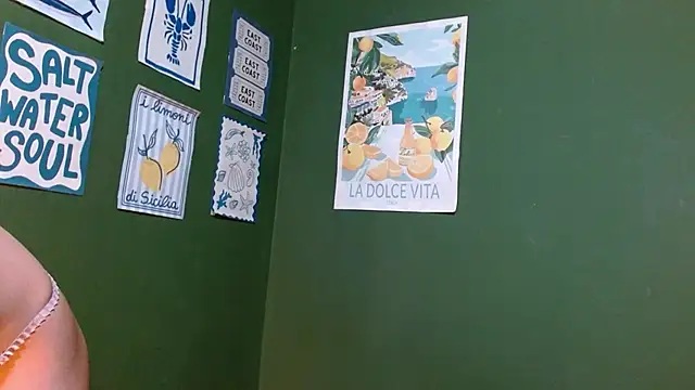 Snapshot of Roxiehood chatting on December 2025 01:55:01 AM Roxiehood online show from December 2025 01:55:01 AM