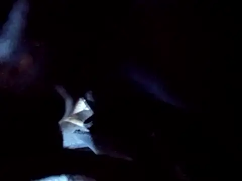 Snapshot of PENTHOUSECEOCLUBHOUSEPRES chatting on November 2025 06:41:02 PM PENTHOUSECEOCLUBHOUSEPRES online show from November 2025 06:41:02 PM