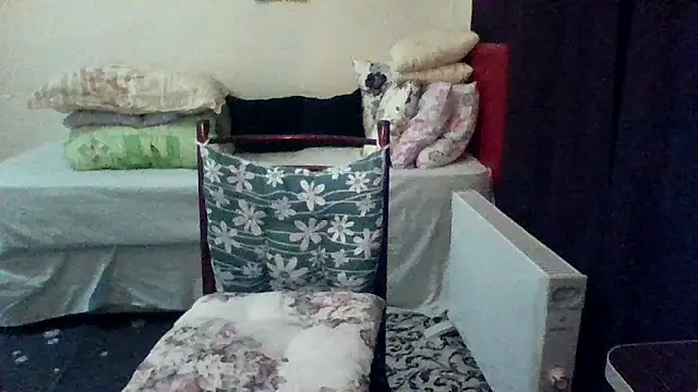 st206boy online show from March 2026 11:08:01 PM