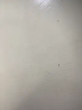 Snapshot of Issa_Santana chatting on February 2026 07:15:02 PM Issa Santana online show from February 2026 07:15:02 PM