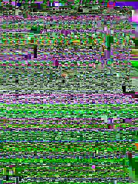 ASSERINAAA online show from July 2026 06:28:01 AM