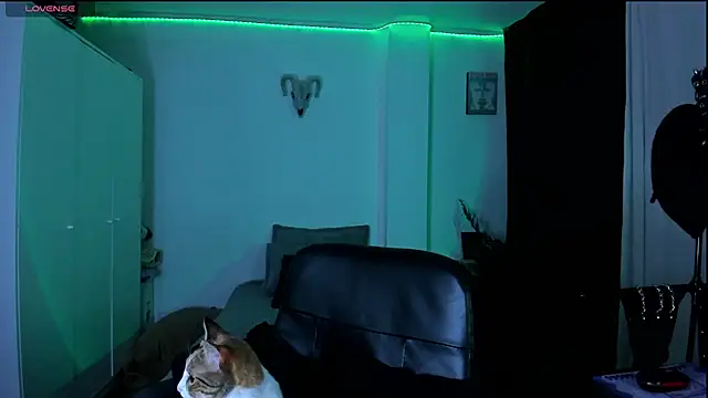 kattusauruss online show from March 2026 02:26:01 AM