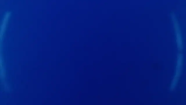 Snapshot of The1BBC chatting on May 2026 05:02:02 AM The1BBC online show from May 2026 05:02:02 AM