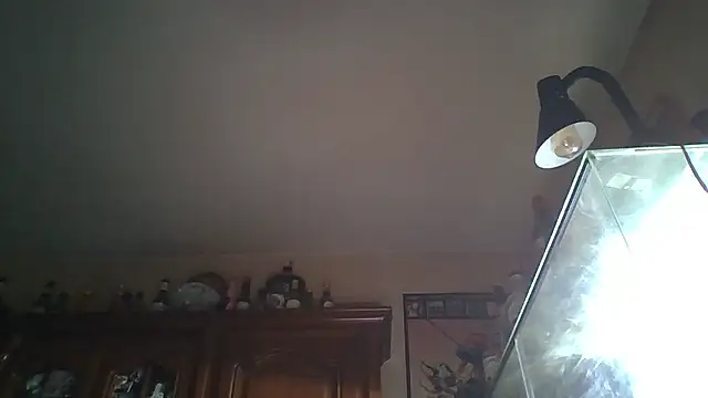 zipman92 online show from January 2026 08:34:02 PM