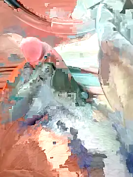 Snapshot of geraldoo007 chatting on October 2025 03:36:02 PM geraldoo007 online show from October 2025 03:36:02 PM