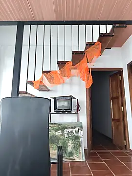 Snapshot of Hiroshi_Shen chatting on November 2025 12:07:01 PM Hiroshi Shen online show from November 2025 12:07:01 PM