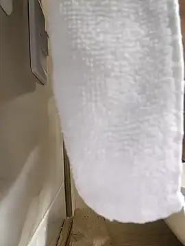 Snapshot of Hiroshi_Shen chatting on November 2025 11:23:02 AM Hiroshi Shen online show from November 2025 11:23:02 AM