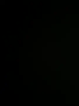 Bray9031 online show from December 2025 04:58:02 PM