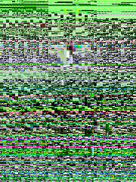 Snapshot of haiyan125216 chatting on September 2025 01:16:02 AM haiyan125216 online show from September 2025 01:16:02 AM