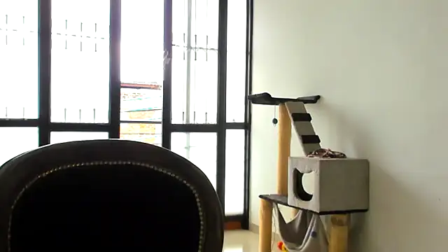 ADHARAMILLER  1111 online show from November 2025 02:28:01 PM