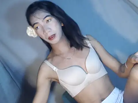 xyourdreamtrans online show from February 2026 07:19:01 AM