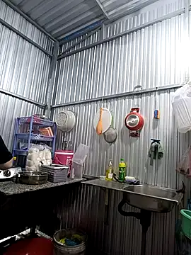 Cindy237st online show from November 2025 08:53:02 AM