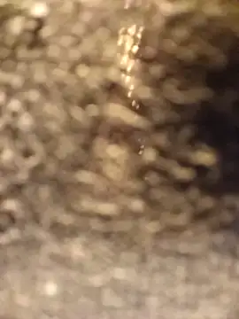 Snapshot of Venessa chatting on December 2025 01:14:02 AM Venessa online show from December 2025 01:14:02 AM