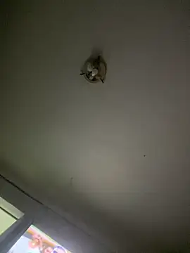 Isabelaa  online show from March 2026 03:28:01 AM