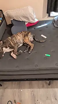 Cnutt310 online show from March 2026 12:02:01 AM