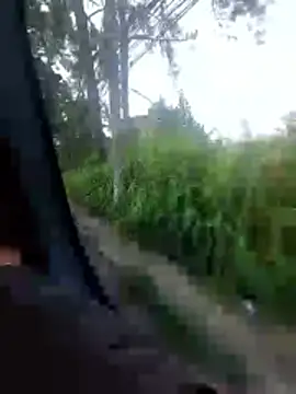 Snapshot of jeff_pepoer chatting on February 2026 10:52:02 AM jeff pepoer online show from February 2026 10:52:02 AM