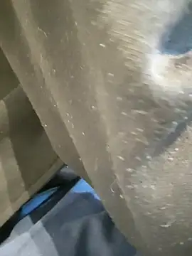 boy8540 online show from February 2026 08:40:02 AM