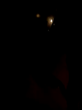 dutch girl lover online show from October 2025 09:07:01 AM