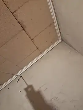 Tudiablita21 online show from April 2026 07:53:02 AM