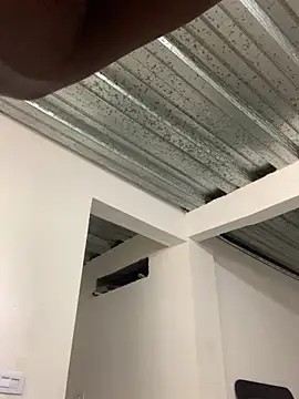 Torvii bnz16 online show from February 2026 06:22:01 PM