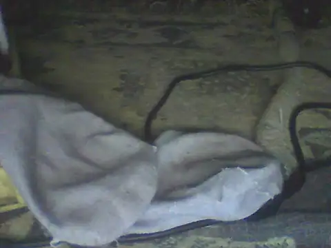 Snapshot of Bebita-zmp chatting on July 2026 04:32:02 PM Bebita-zmp online show from July 2026 04:32:02 PM