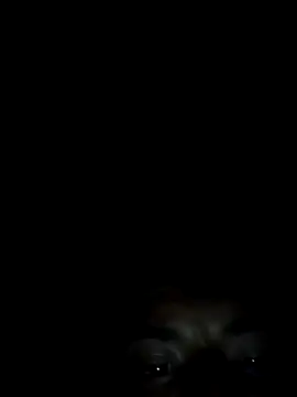 Xhimo5 online show from September 2025 08:31:02 AM