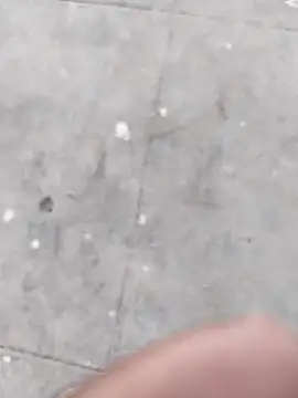 Wet BunnyFun online show from November 2025 12:05:02 PM