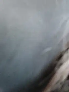 meomeocute online show from March 2026 10:21:01 AM