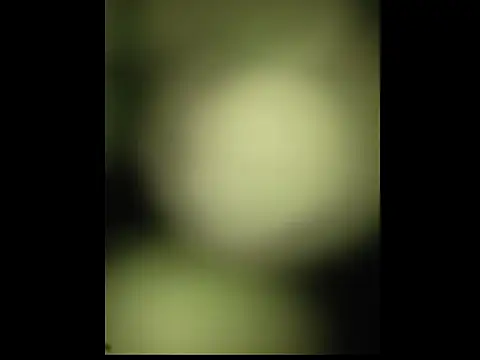 Snapshot of sobit1234 chatting on October 2025 06:52:01 PM sobit1234 online show from October 2025 06:52:01 PM