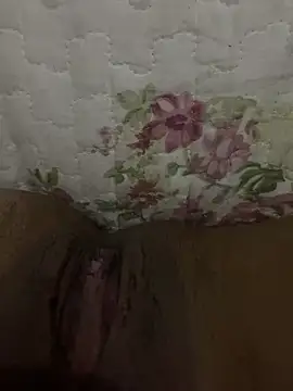 Snapshot of pretalst chatting on September 2025 05:18:02 AM pretalst online show from September 2025 05:18:02 AM