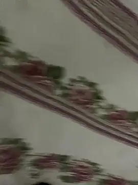 Snapshot of pretalst chatting on September 2025 02:57:02 AM pretalst online show from September 2025 02:57:02 AM