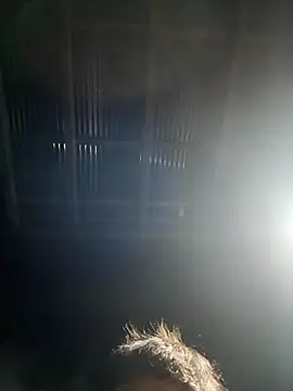 Snapshot of usu0130 chatting on October 2025 02:07:02 PM usu0130 online show from October 2025 02:07:02 PM