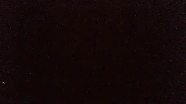pietje1991 online show from June 2026 10:11:01 PM