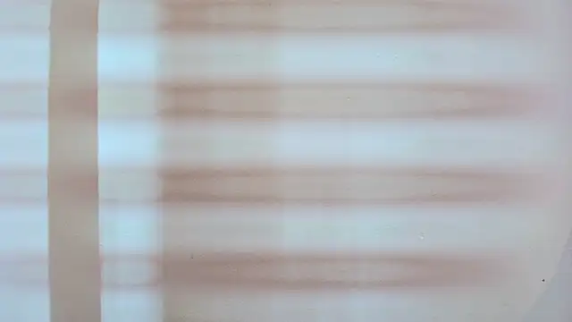 zarah andrew   online show from October 2025 12:05:02 PM