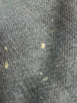 Narckse online show from September 2025 07:30:01 AM