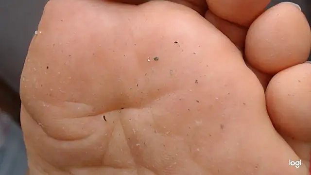 ash feet online show from September 2025 04:03:02 AM