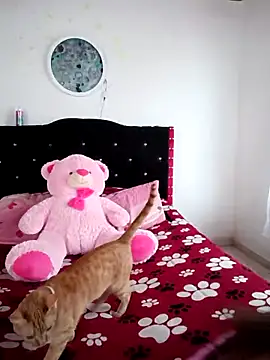 Isa Acosta online show from March 2026 02:21:01 PM