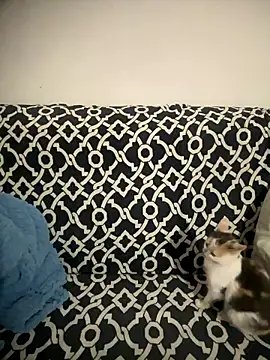 Sweet lollipop25 online show from January 2026 09:20:01 PM