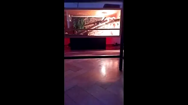 M6I6K6Exh online show from December 2025 07:28:01 AM