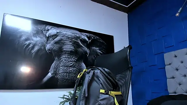 andres-clark92 online show from November 2025 06:12:01 PM