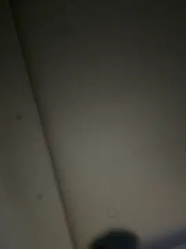 ALANNFERRER online show from November 2025 10:14:02 AM