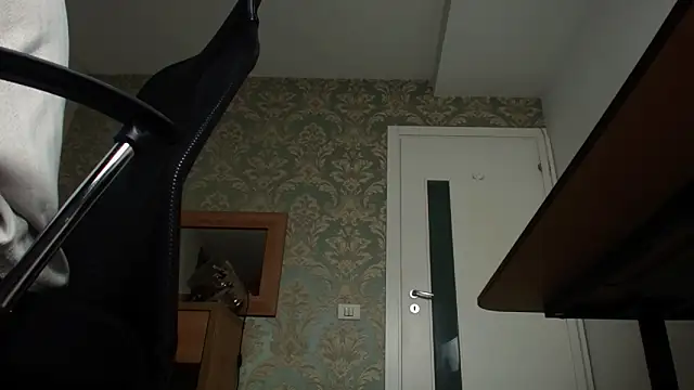 Snapshot of FelixStarkk chatting on November 2025 05:29:02 AM FelixStarkk online show from November 2025 05:29:02 AM