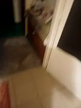 Snapshot of PavloBok chatting on February 2026 04:33:01 PM PavloBok online show from February 2026 04:33:01 PM