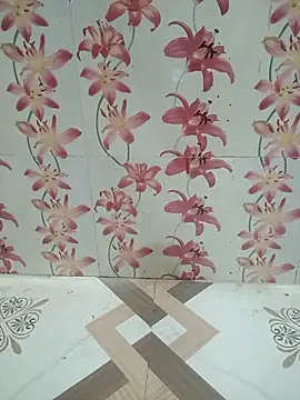 Snapshot of Meenaksi-singh chatting on October 2025 05:16:02 AM Meenaksi-singh online show from October 2025 05:16:02 AM