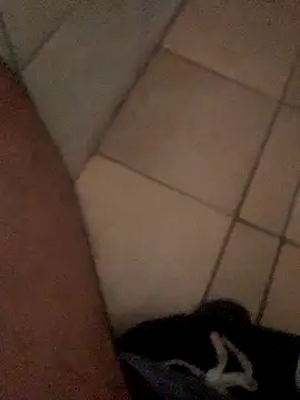 Snapshot of Lushen704 chatting on October 2025 06:15:02 AM Lushen704 online show from October 2025 06:15:02 AM