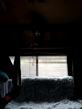 ShawnandDani7074 online show from February 2026 01:53:02 PM