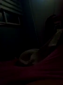 Pillate069 online show from March 2026 06:03:01 AM