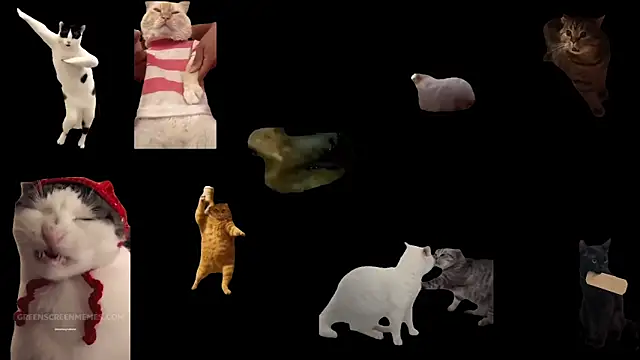 ch0wn m online show from February 2026 02:59:02 PM