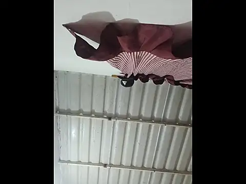 alex-golden online show from November 2025 11:05:01 PM